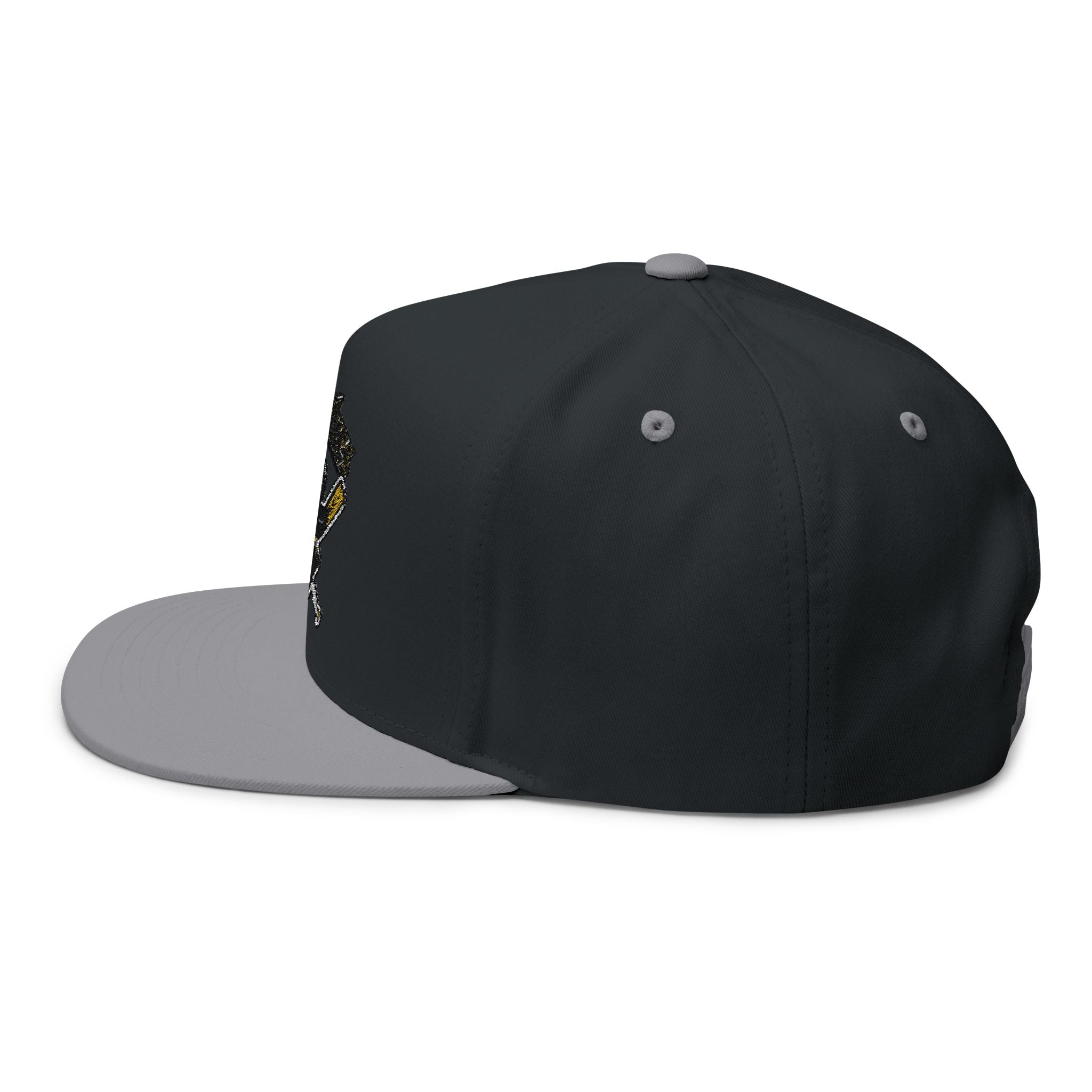 Embroidered ‘Poughkeepsie’ Pirate Logo Flat Bill Cap