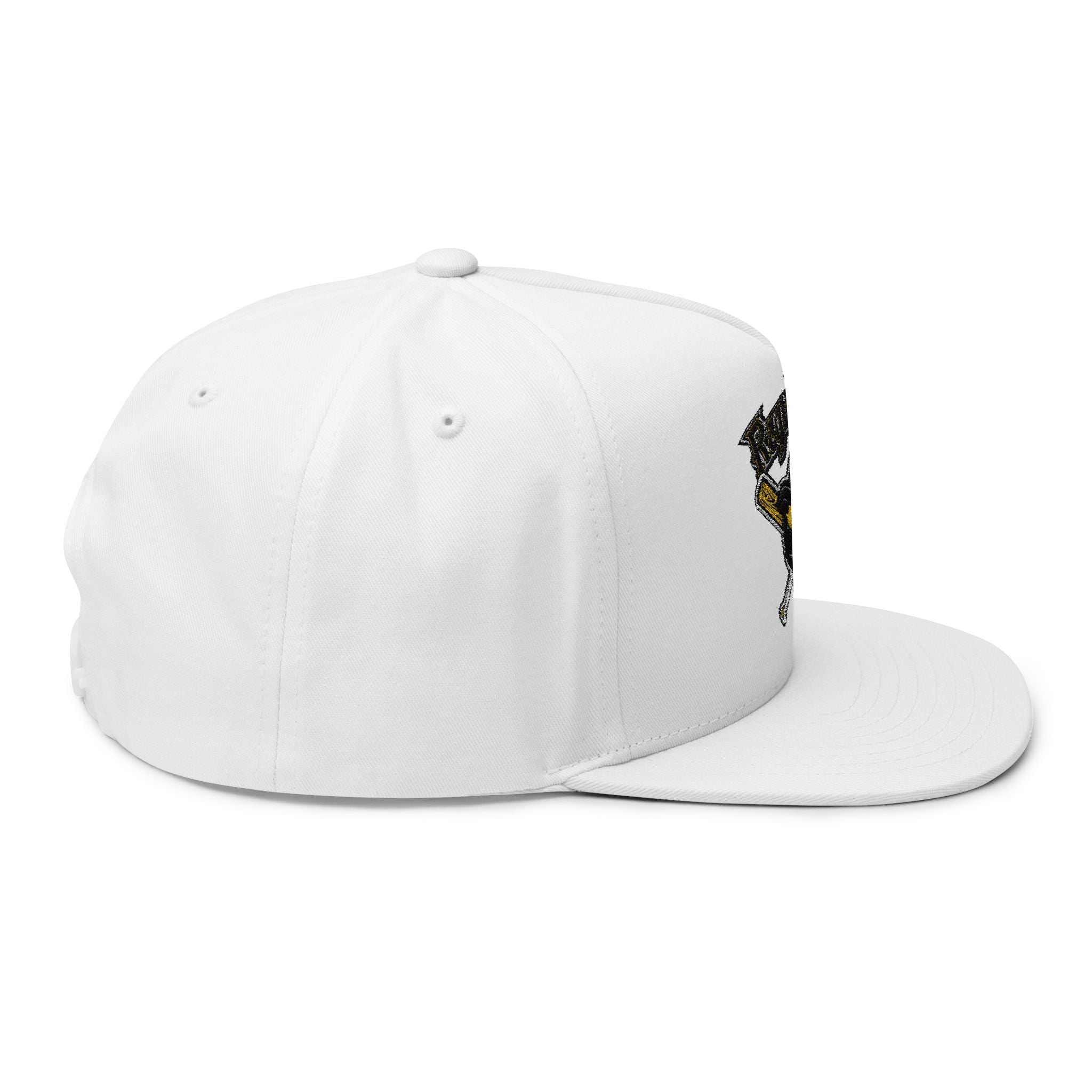 Embroidered ‘Poughkeepsie’ Pirate Logo Flat Bill Cap