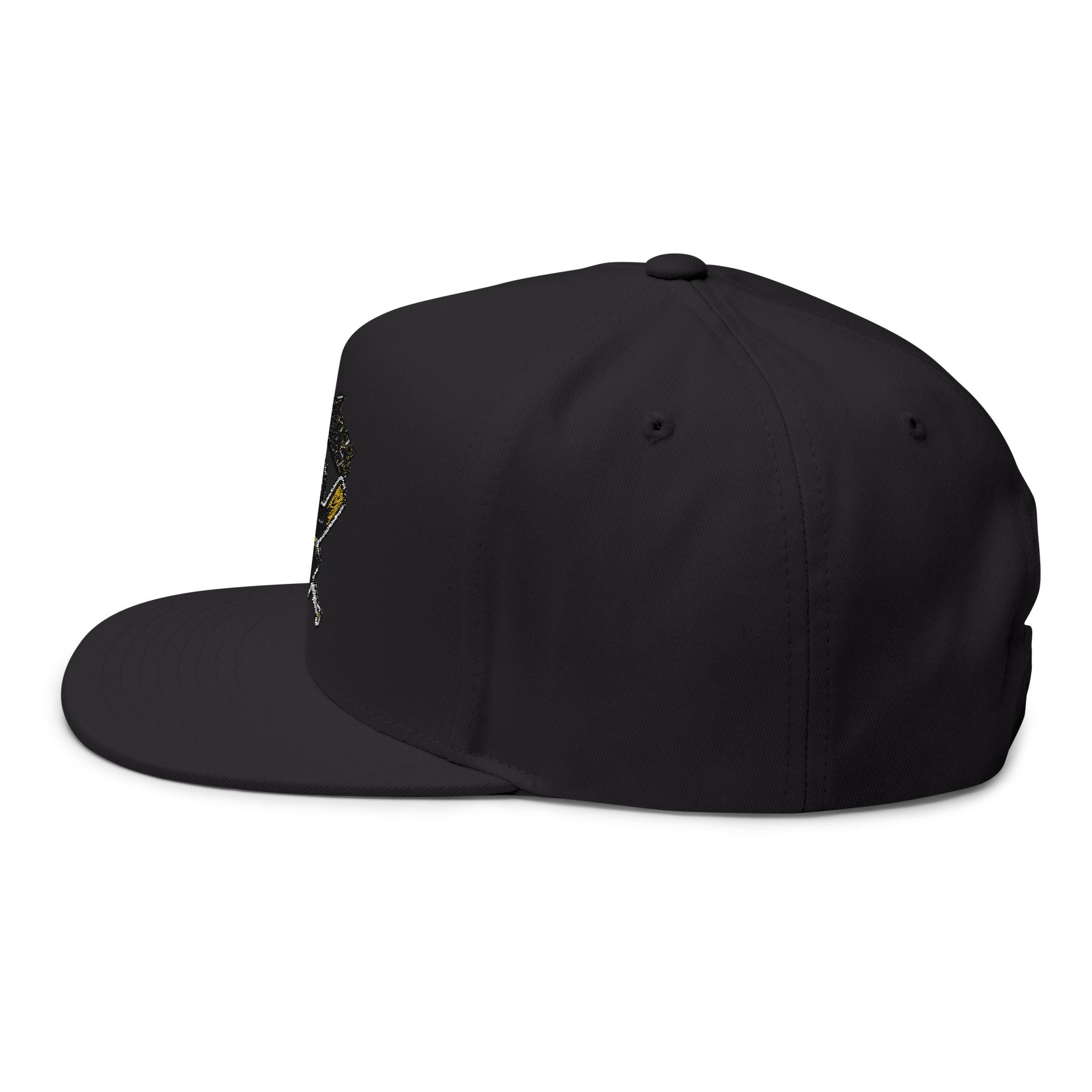 Embroidered ‘Poughkeepsie’ Pirate Logo Flat Bill Cap