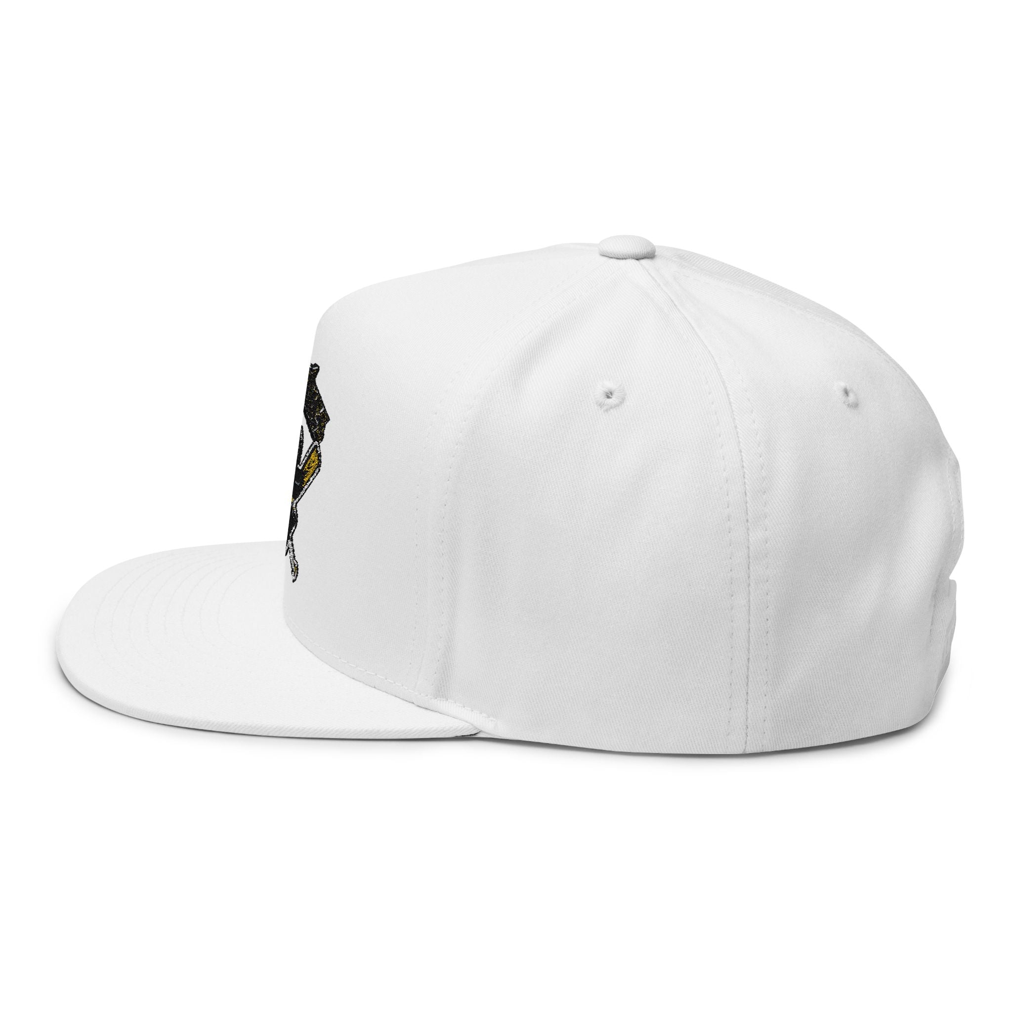 Embroidered ‘Poughkeepsie’ Pirate Logo Flat Bill Cap